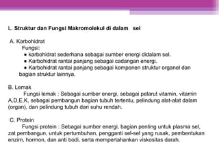 L. Struktur dan Fungsi Makromolekul di dalam sel
A. Karbohidrat
Fungsi:
● karbohidrat sederhana sebagai sumber energi didalam sel.
● Karbohidrat rantai panjang sebagai cadangan energi.
● Karbohidrat rantai panjang sebagai komponen struktur organel dan
bagian struktur lainnya.
B. Lemak
Fungsi lemak : Sebagai sumber energi, sebagai pelarut vitamin, vitamin
A,D,E,K, sebagai pembangun bagian tubuh tertentu, pelindung alat-alat dalam
(organ), dan pelindung tubuh dari suhu rendah.
C. Protein
Fungsi protein : Sebagai sumber energi, bagian penting untuk plasma sel,
zat pembangun, untuk pertumbuhan, pengganti sel-sel yang rusak, pembentukan
enzim, hormon, dan anti bodi, serta mempertahankan viskositas darah.
 