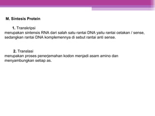 M. Sintesis Protein
1. Transkripsi
merupakan sintensis RNA dari salah satu rantai DNA yaitu rantai cetakan / sense,
sedangkan rantai DNA komplemennya di sebut rantai anti sense.
2. Translasi
merupakan proses penerjemahan kodon menjadi asam amino dan
menyambungkan setiap as.
 