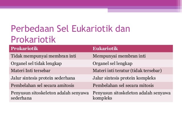 Biomedik Dasar 45152372