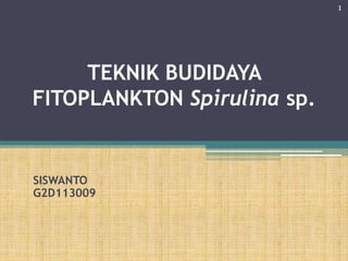 TEKNIK BUDIDAYA
FITOPLANKTON Spirulina sp.
SISWANTO
G2D113009
1
 