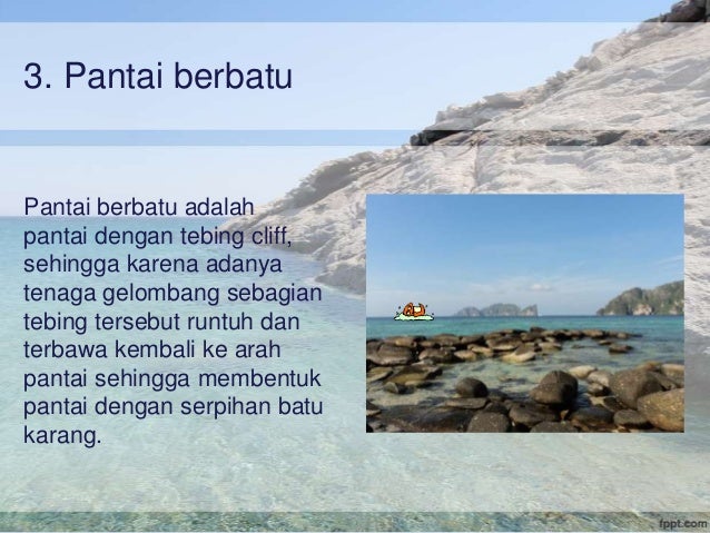 Ekosistem Pantai Terumbu Karang