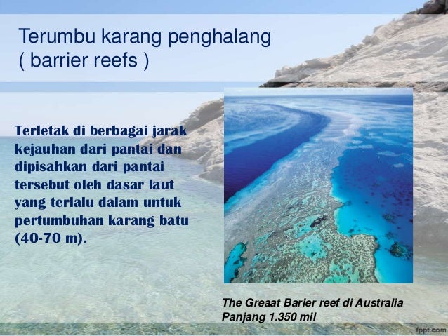 Ekosistem Pantai Terumbu karang
