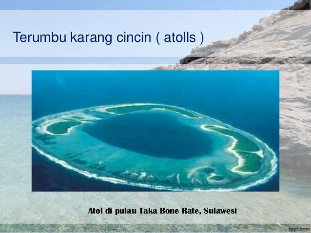 Ekosistem Pantai amp; Terumbu karang Ekosistem Pantai amp; Terumbu karang