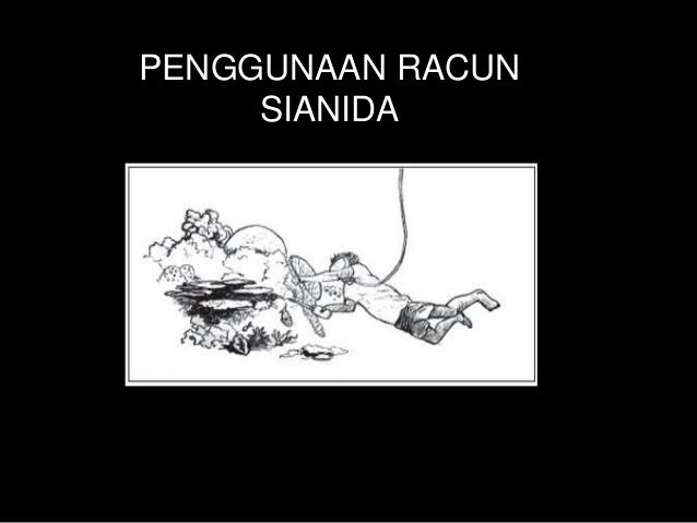 Ekosistem Pantai & Terumbu karang