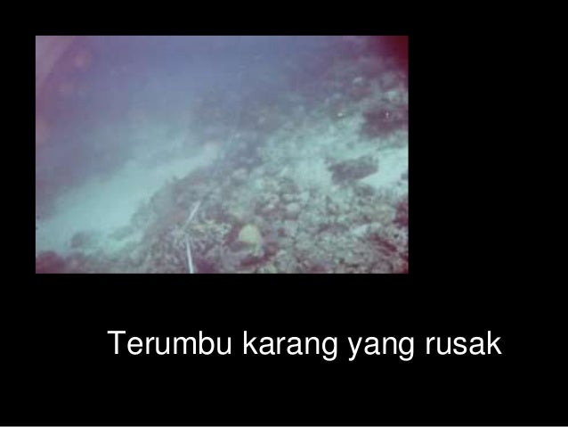 Ekosistem Pantai amp; Terumbu karang
