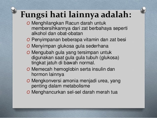Download 65 Koleksi Gambar Fungsi Hati Terbaik 