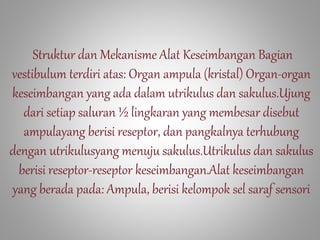 Struktur dan Mekanisme Alat Keseimbangan Bagian
vestibulum terdiri atas: Organ ampula (kristal) Organ-organ
keseimbangan yang ada dalam utrikulus dan sakulus.Ujung
dari setiap saluran ½ lingkaran yang membesar disebut
ampulayang berisi reseptor, dan pangkalnya terhubung
dengan utrikulusyang menuju sakulus.Utrikulus dan sakulus
berisi reseptor-reseptor keseimbangan.Alat keseimbangan
yang berada pada: Ampula, berisi kelompok sel saraf sensori
 