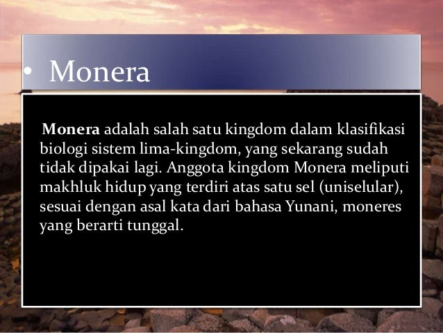 Hewan Dan Tumbuhan Purba yang Masih Hidup Hingga Sekarang 