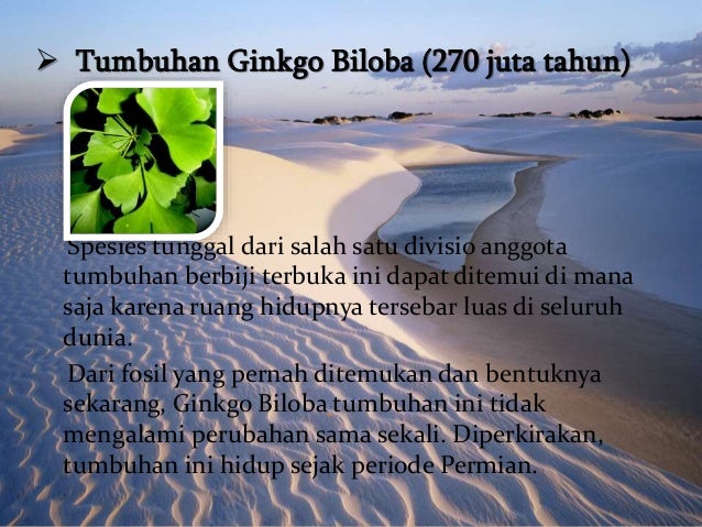 Hewan Dan Tumbuhan Purba yang Masih Hidup Hingga Sekarang 