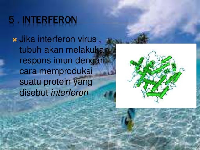 Tugas ipa bioteknologi. 9 h