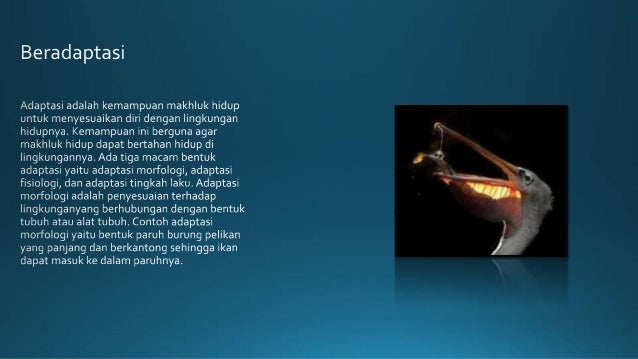 Ciri Makhluk Hidup dan Cabang Ilmu Biologi SMA
