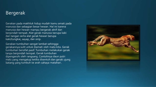 Ciri Makhluk Hidup dan Cabang Ilmu Biologi SMA