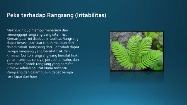 Ciri Makhluk Hidup dan Cabang Ilmu Biologi SMA