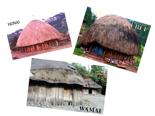 Tugas ips papua Tugas ips papua