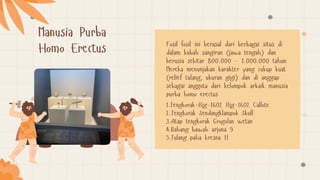 Manusia Purba
Homo Erectus Fosil fosil ini berasal dari berbagai situs di
dalam kubah sangiran (jawa tengah) dan
berusia sekitar 800.000 - 1.000.000 tahun
Mereka menunjukan karakter yang cukup kuat
(relief tulang, ukuran gigi) dan di anggap
sebagai anggota dari kelompok arkaik manusia
purba homo erectus
1.Tengkorak-Bjg-1602 Bjg-1602 Callote
2.Tengkorak Sendangklampok Skull
3.Atap tengkorak Grogolan wetan
4.Rahang bawah arjuna 9
5.Tulang paha kresna 11
 