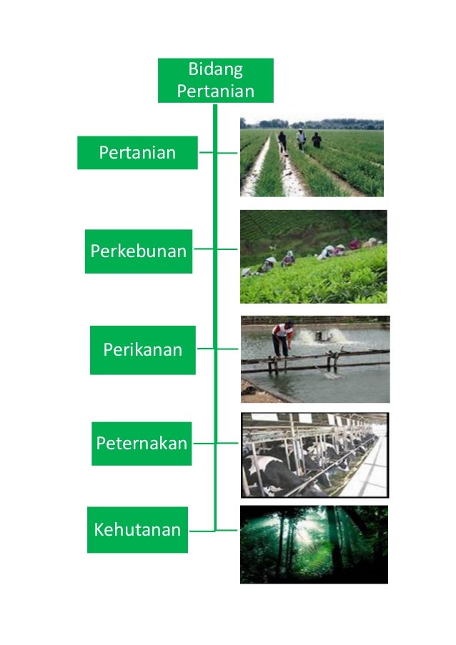 Sistem perdagangan penggajian non pertanian
