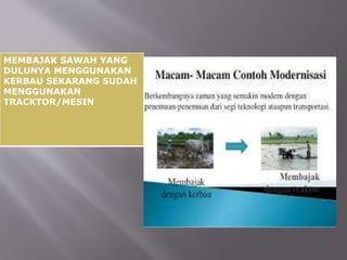 MEMBAJAK SAWAH YANG
DULUNYA MENGGUNAKAN
KERBAU SEKARANG SUDAH
MENGGUNAKAN
TRACKTOR/MESIN
 