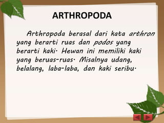 ARTHROPODA
Arthropoda berasal dari kata arthron
yang berarti ruas dan podos yang
berarti kaki. Hewan ini memiliki kaki
yang beruas-ruas. Misalnya udang,
belalang, laba-laba, dan kaki seribu.
 