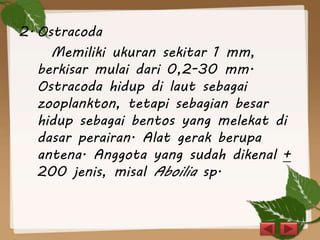 2. Ostracoda
Memiliki ukuran sekitar 1 mm,
berkisar mulai dari 0,2-30 mm.
Ostracoda hidup di laut sebagai
zooplankton, tetapi sebagian besar
hidup sebagai bentos yang melekat di
dasar perairan. Alat gerak berupa
antena. Anggota yang sudah dikenal +
200 jenis, misal Aboilia sp.
 
