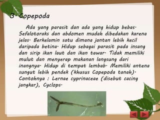 3. Copepoda
Ada yang parasit dan ada yang hidup bebas.
Sefalotoraks dan abdomen mudah dibedakan karena
jelas. Berkelamin satu dimana jantan lebih kecil
daripada betina. Hidup sebagai parasit pada insang
dan sirip ikan laut dan ikan tawar. Tidak memiliki
mulut dan menyerap makanan langsung dari
inangnya. Hidup di tempat lembab. Memiliki antena
sungut lebih pendek (khusus Copepoda tanah).
Contohnya : Lernae cyprinaceae (disebut cacing
jangkar), Cyclops.
 