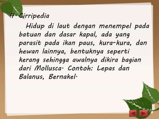 4. Cirripedia
Hidup di laut dengan menempel pada
batuan dan dasar kapal, ada yang
parasit pada ikan paus, kura-kura, dan
hewan lainnya, bentuknya seperti
kerang sehingga awalnya dikira bagian
dari Mollusca. Contoh: Lepas dan
Balanus, Bernakel.
 