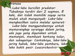 2. Araneae
Laba-laba bersifat predator.
Tubuhnya terdiri dari 2 segmen, 8
kaki, dan tidak memiliki sayap serta
mulut utuk mengunyah. Laba-laba
menghasilkan sutra melalui spineret.
Laba-laba menggunakannya untuk
memerangkap serangga dalam jaring,
ada juga yang digunakan untuk
memanjat, membuat kantong telur,
dan sebagainya. Contohnya, laba-laba
jaring kubah, laba-laba pemburu, laba-
laba bukit pasir Leucorchestris.
 
