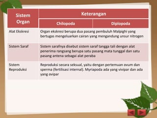 Sistem
Organ
Keterangan
Chilopoda Diplopoda
Alat Ekskresi Organ ekskresi berupa dua pasang pembuluh Malpighi yang
bertugas mengeluarkan cairan yang mengandung unsur nitrogen
Sistem Saraf Sistem sarafnya disebut sistem saraf tangga tali dengan alat
penerima rangsang berupa satu pasang mata tunggal dan satu
pasang antena sebagai alat peraba
Sistem
Reproduksi
Reproduksi secara seksual, yaitu dengan pertemuan ovum dan
sperma (fertilisasi internal). Myriapoda ada yang vivipar dan ada
yang ovipar
 