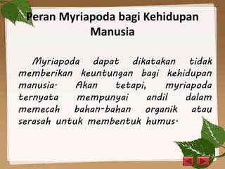 Peran Myriapoda bagi Kehidupan
Manusia
Myriapoda dapat dikatakan tidak
memberikan keuntungan bagi kehidupan
manusia. Akan tetapi, myriapoda
ternyata mempunyai andil dalam
memecah bahan-bahan organik atau
serasah untuk membentuk humus.
 