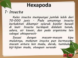 Hexapoda
1. Insecta
Kelas insecta mempunyai jumlah lebih dari
70.000 jenis . Pada umumnya insecta
berhabitat dihampir seluruh biosfer kecuali
di laut. Insecta terdapat didalam tanah,
udara, air tawar, dan pada organisme lain
sebagai ektoparasit.
Sesuai dengan macam-macam tipe
mulutnya, makanan insecta pun bermacam-
macam antara lain madu, darah, tumbuhan,
biji-bijian muda, ataupun serasah.
 