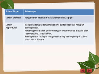 Sistem Organ Keterangan
Sistem Ekskresi Pengeluaran zat sisa melalui pembuluh Malpighi
Sistem
Reproduksi
Insecta kadang-kadang mengalami partenogenesis maupun
paedogenesis.
Partenogenesis ialah perkembangan embrio tanpa dibuahi oleh
spermatozoid. Misal lebah.
Paedogenesis ialah partenogenesis yang berlangsung di tubuh
larva. Misal diptera.
 