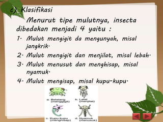 c) Klasifikasi
Menurut tipe mulutnya, insecta
dibedakan menjadi 4 yaitu :
1. Mulut mengigit da mengunyah, misal
jangkrik.
2. Mulut mengigit dan menjilat, misal lebah.
3. Mulut menusut dan menghisap, misal
nyamuk.
4. Mulut mengisap, misal kupu-kupu.
 