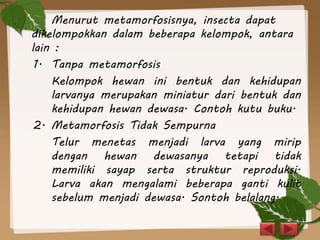 Menurut metamorfosisnya, insecta dapat
dikelompokkan dalam beberapa kelompok, antara
lain :
1. Tanpa metamorfosis
Kelompok hewan ini bentuk dan kehidupan
larvanya merupakan miniatur dari bentuk dan
kehidupan hewan dewasa. Contoh kutu buku.
2. Metamorfosis Tidak Sempurna
Telur menetas menjadi larva yang mirip
dengan hewan dewasanya tetapi tidak
memiliki sayap serta struktur reproduksi.
Larva akan mengalami beberapa ganti kulit
sebelum menjadi dewasa. Sontoh belalang.
 