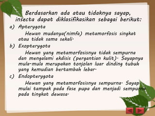 Berdasarkan ada atau tidaknya sayap,
insecta dapat diklasifikasikan sebagai berikut:
a) Apterygota
Hewan mudanya(nimfa) metamorfosis singkat
atau tidak sama sekali.
b) Exopterygota
Hewan yang metamorfosisnya tidak sempurna
dan mengalami ekdisis (pergantian kulit). Sayapnya
mula-mula merupakan tonjolan luar dinding tubuh
yang kemudian bertambah lebar.
c) Endopterygota
Hewan yang metamorfosisnya sempurna. Sayap
mulai tampak pada fase pupa dan menjadi sempurna
pada tingkat dewasa.
 