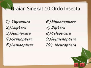 Uraian Singkat 10 Ordo Insecta
1) Thysanura
2)Isoptera
3)Hemiptera
4)Orthoptera
5)Lepidoptera
6)Siphonaptera
7)Diptera
8)Celeoptera
9)Hymenoptera
10) Neuroptera
 