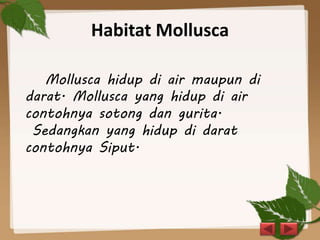 Habitat Mollusca
Mollusca hidup di air maupun di
darat. Mollusca yang hidup di air
contohnya sotong dan gurita.
Sedangkan yang hidup di darat
contohnya Siput.
 
