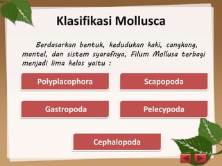 Klasifikasi Mollusca
Berdasarkan bentuk, kedudukan kaki, cangkang,
mantel, dan sistem syarafnya, Filum Mollusa terbagi
menjadi lima kelas yaitu :
Polyplacophora
Cephalopoda
PelecypodaGastropoda
Scapopoda
 