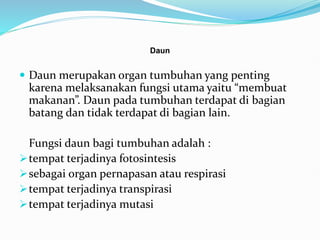 Daun
 Daun merupakan organ tumbuhan yang penting
karena melaksanakan fungsi utama yaitu “membuat
makanan”. Daun pada tumbuhan terdapat di bagian
batang dan tidak terdapat di bagian lain.
Fungsi daun bagi tumbuhan adalah :
tempat terjadinya fotosintesis
sebagai organ pernapasan atau respirasi
tempat terjadinya transpirasi
tempat terjadinya mutasi
 