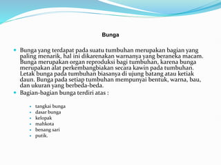 Bunga
 Bunga yang terdapat pada suatu tumbuhan merupakan bagian yang
paling menarik, hal ini dikarenakan warnanya yang beraneka macam.
Bunga merupakan organ reproduksi bagi tumbuhan, karena bunga
merupakan alat perkembangbiakan secara kawin pada tumbuhan.
Letak bunga pada tumbuhan biasanya di ujung batang atau ketiak
daun. Bunga pada setiap tumbuhan mempunyai bentuk, warna, bau,
dan ukuran yang berbeda-beda.
 Bagian-bagian bunga terdiri atas :
 tangkai bunga
 dasar bunga
 kelopak
 mahkota
 benang sari
 putik.
 
