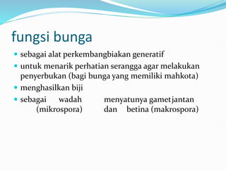 fungsi bunga
 sebagai alat perkembangbiakan generatif
 untuk menarik perhatian serangga agar melakukan
penyerbukan (bagi bunga yang memiliki mahkota)
 menghasilkan biji
 sebagai wadah menyatunya gametjantan
(mikrospora) dan betina (makrospora)
 