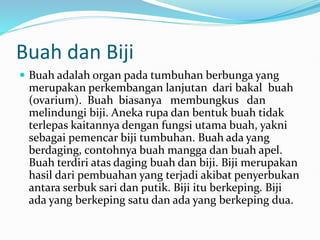 Buah dan Biji
 Buah adalah organ pada tumbuhan berbunga yang
merupakan perkembangan lanjutan dari bakal buah
(ovarium). Buah biasanya membungkus dan
melindungi biji. Aneka rupa dan bentuk buah tidak
terlepas kaitannya dengan fungsi utama buah, yakni
sebagai pemencar biji tumbuhan. Buah ada yang
berdaging, contohnya buah mangga dan buah apel.
Buah terdiri atas daging buah dan biji. Biji merupakan
hasil dari pembuahan yang terjadi akibat penyerbukan
antara serbuk sari dan putik. Biji itu berkeping. Biji
ada yang berkeping satu dan ada yang berkeping dua.
 