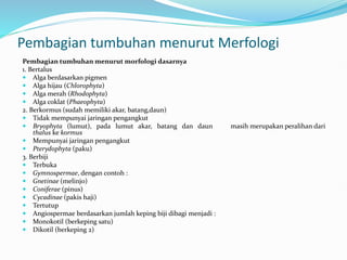 Pembagian tumbuhan menurut Merfologi
Pembagian tumbuhan menurut morfologi dasarnya
1. Bertalus
 Alga berdasarkan pigmen
 Alga hijau (Chlorophyta)
 Alga merah (Rhodophyta)
 Alga coklat (Phaeophyta)
2. Berkormus (sudah memiliki akar, batang,daun)
 Tidak mempunyai jaringan pengangkut
 Bryophyta (lumut), pada lumut akar, batang dan daun masih merupakan peralihan dari
thalus ke kormus
 Mempunyai jaringan pengangkut
 Pterydophyta (paku)
3. Berbiji
 Terbuka
 Gymnospermae, dengan contoh :
 Gnetinae (melinjo)
 Coniferae (pinus)
 Cycadinae (pakis haji)
 Tertutup
 Angiospermae berdasarkan jumlah keping biji dibagi menjadi :
 Monokotil (berkeping satu)
 Dikotil (berkeping 2)
 