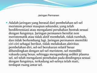 Jaringan Permanen
 Adalah jaringan yang berasal dari pembelahan sel-sel
meristem primer maupun sekunder, yang telah
berdiferensiasi atau mengalami perubahan bentuk sesuai
dengan fungsinya. Jaringan permanen bersifat non
meristematik atau tidak aktif membelah, tidak tumbuh,
dan tidak berkembang lagi. Jaringan permanen memiliki
ciri-ciri sebagai berikut, tidak melakukan aktivitas
pembelahan diri, sel-sel berukuran relatif besar
dibandingkan dengan sel-sel meristem, sel memiliki
vakuola yang besar, sehingga mengandung sedikit plasma
sel, sel telah mengalami penebalan pada dindingnya sesuai
dengan fungsinya, terkadang sel-selnya telah mati,
terdapat ruang antar sel.
 