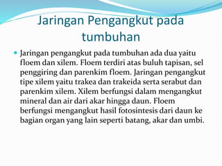 Jaringan Pengangkut pada
tumbuhan
 Jaringan pengangkut pada tumbuhan ada dua yaitu
floem dan xilem. Floem terdiri atas buluh tapisan, sel
penggiring dan parenkim floem. Jaringan pengangkut
tipe xilem yaitu trakea dan trakeida serta serabut dan
parenkim xilem. Xilem berfungsi dalam mengangkut
mineral dan air dari akar hingga daun. Floem
berfungsi mengangkut hasil fotosintesis dari daun ke
bagian organ yang lain seperti batang, akar dan umbi.
 