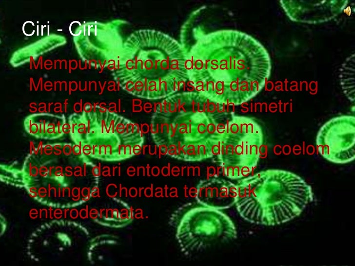 Tugas kelompok biologi kelompok 5 kls X.1