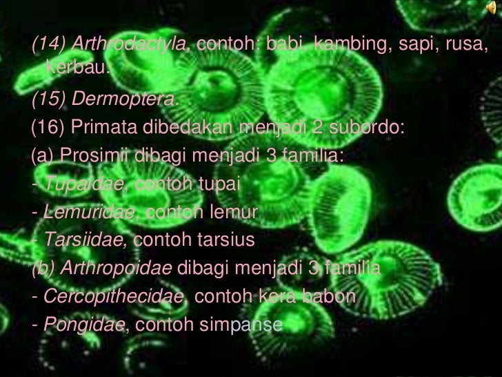 Tugas kelompok biologi kelompok 5 kls X.1