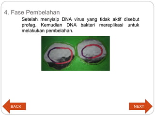 PowerPoint Replikasi Virus