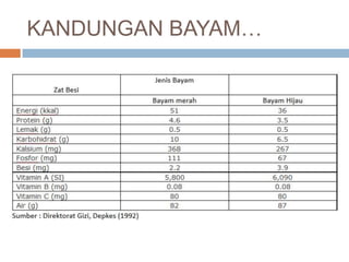 KANDUNGAN BAYAM…

 