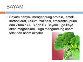 BAYAM


Bayam banyak mengandung protein, lemak,
karbohidrat, kalium, zat besi, amarantin, purin
dan vitamin (A, B dan C). Bayam juga kaya
akan magnesium. Juga mengandung asam
folat dan asam oksalat.

 