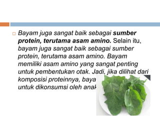 

Bayam juga sangat baik sebagai sumber
protein, terutama asam amino. Selain itu,
bayam juga sangat baik sebagai sumber
protein, terutama asam amino. Bayam
memiliki asam amino yang sangat penting
untuk pembentukan otak. Jadi, jika dilihat dari
komposisi proteinnya, bayam sangat baik
untuk dikonsumsi oleh anak-anak.

 
