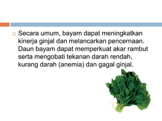 

Secara umum, bayam dapat meningkatkan
kinerja ginjal dan melancarkan pencernaan.
Daun bayam dapat memperkuat akar rambut
serta mengobati tekanan darah rendah,
kurang darah (anemia) dan gagal ginjal.

 